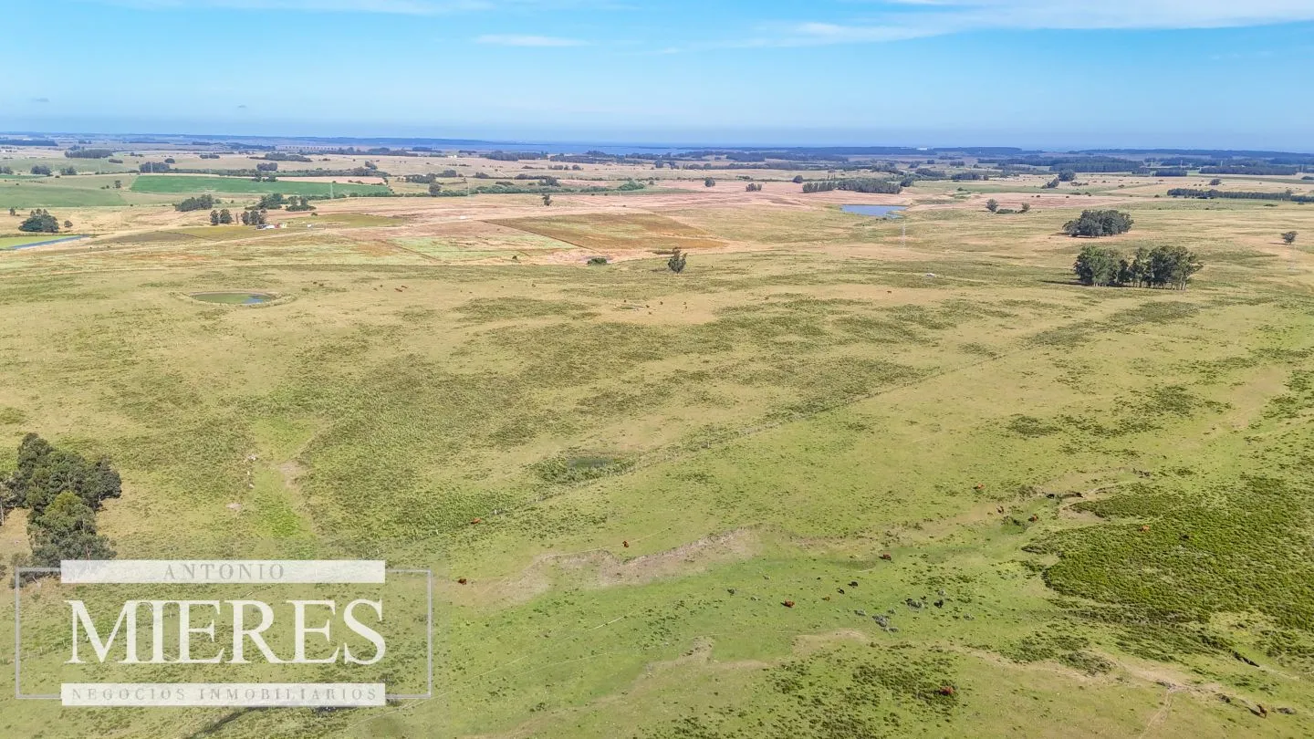 Campo en venta de 59 ha sobre ruta 9 a 15 min de José Ignacio — foto 14