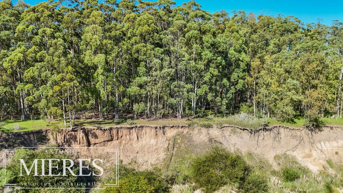 Venta lote 1161m2 en La Juanita c/ vista laguna y Medellin del faro — foto 5