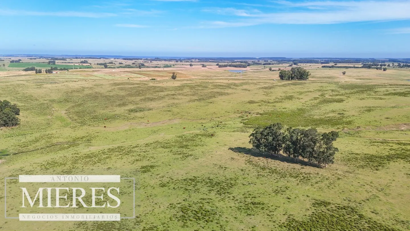 Campo en venta de 59 ha sobre ruta 9 a 15 min de José Ignacio — foto 15