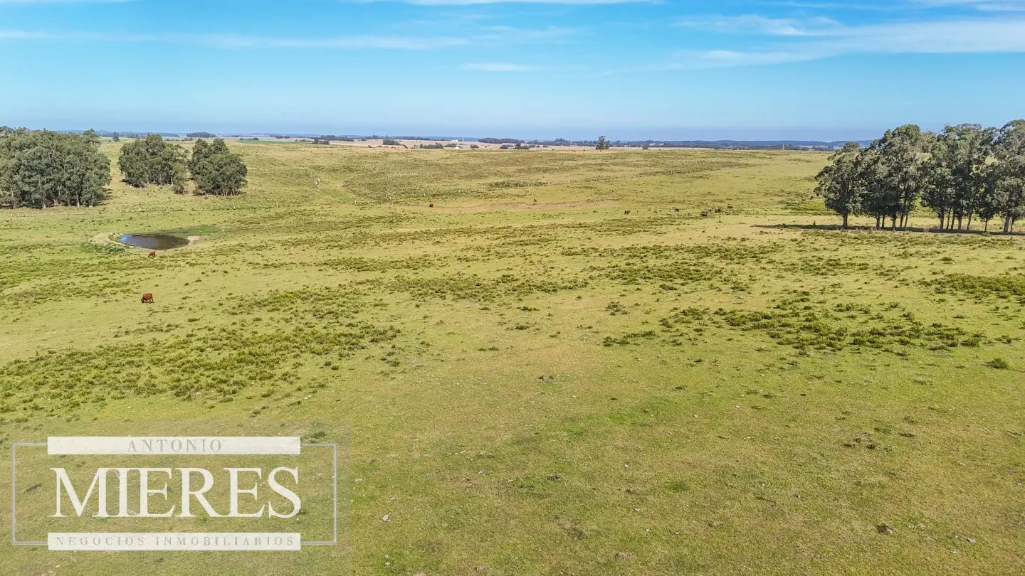 Campo en venta de 59 ha sobre ruta 9 a 15 min de José Ignacio — foto 16