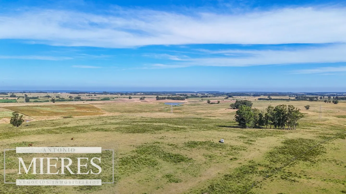 Campo en venta de 59 ha sobre ruta 9 a 15 min de José Ignacio — foto 17
