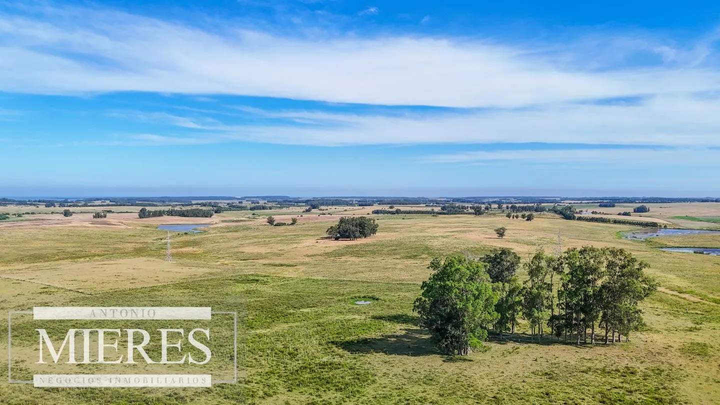 Campo en venta de 59 ha sobre ruta 9 a 15 min de José Ignacio — foto 18