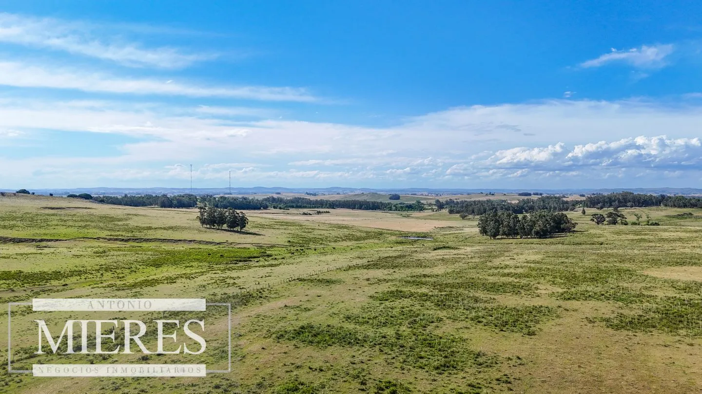 Campo en venta de 59 ha sobre ruta 9 a 15 min de José Ignacio — foto 19