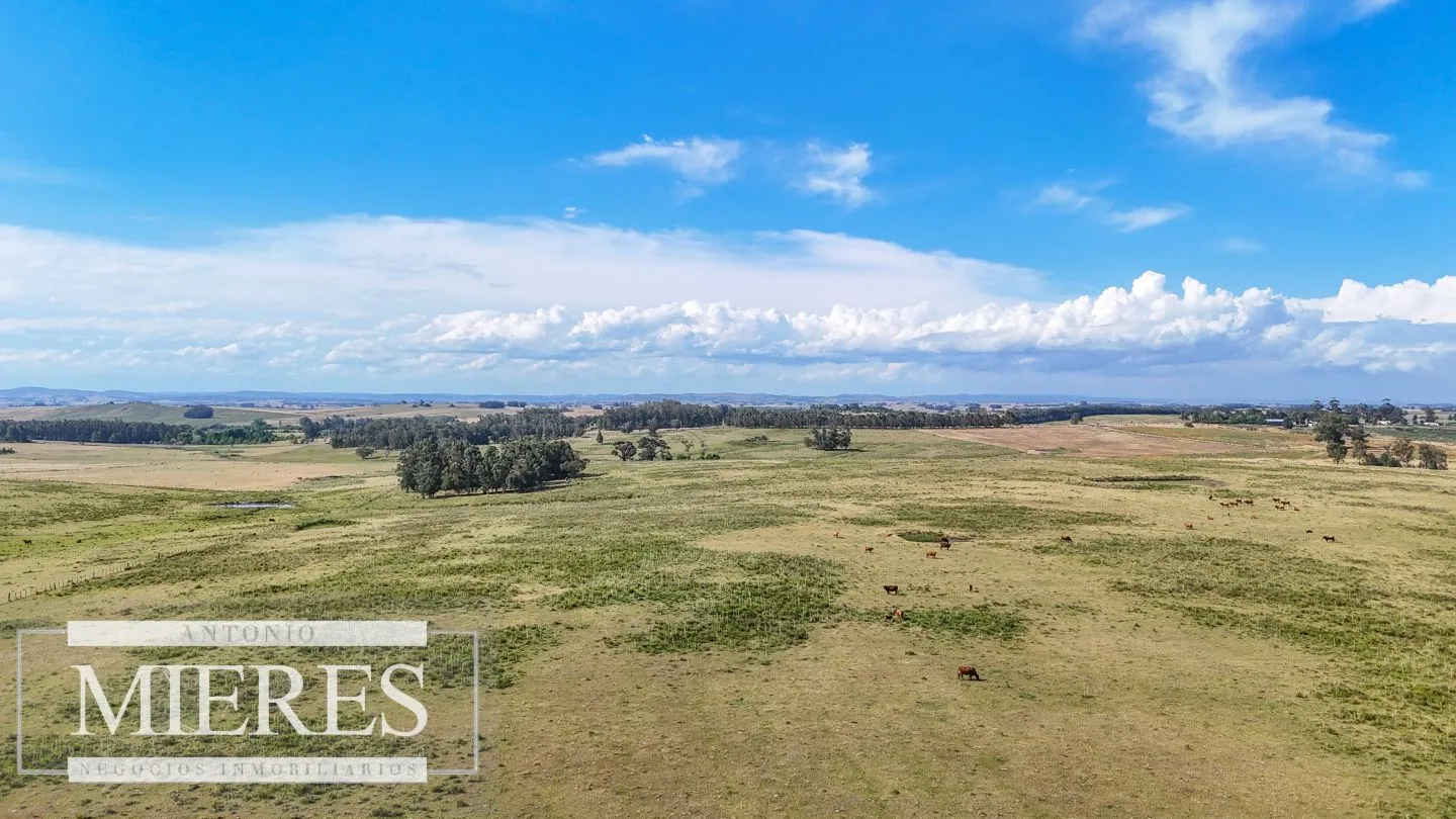 Campo en venta de 59 ha sobre ruta 9 a 15 min de José Ignacio — foto 20