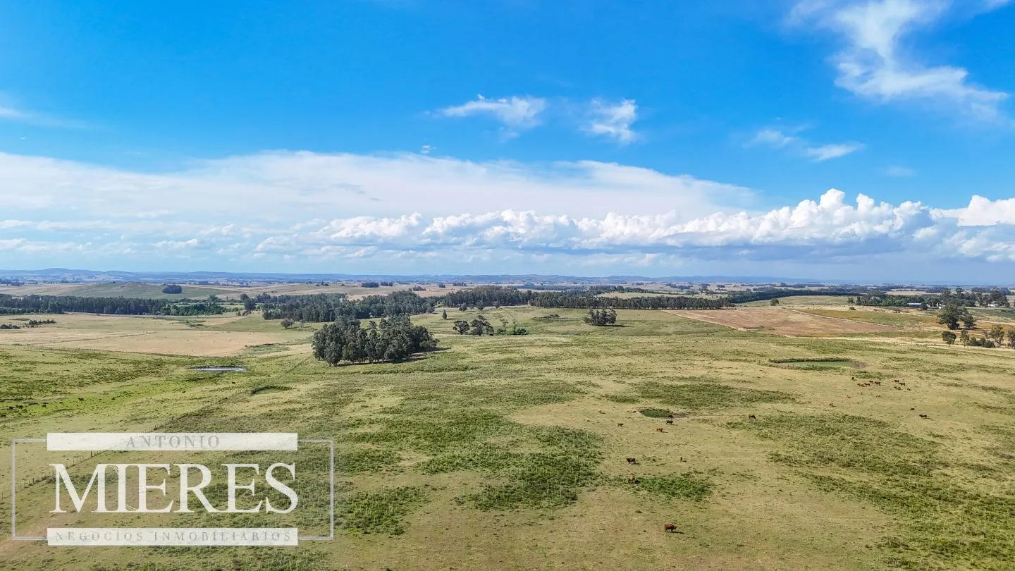 Campo en venta de 59 ha sobre ruta 9 a 15 min de José Ignacio — foto 21