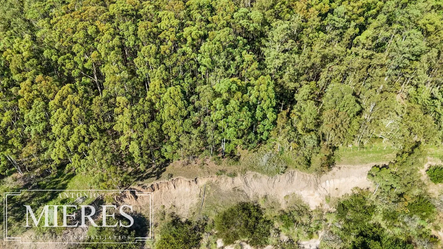 Venta lote 1161m2 en La Juanita c/ vista laguna y Medellin del faro — foto 13