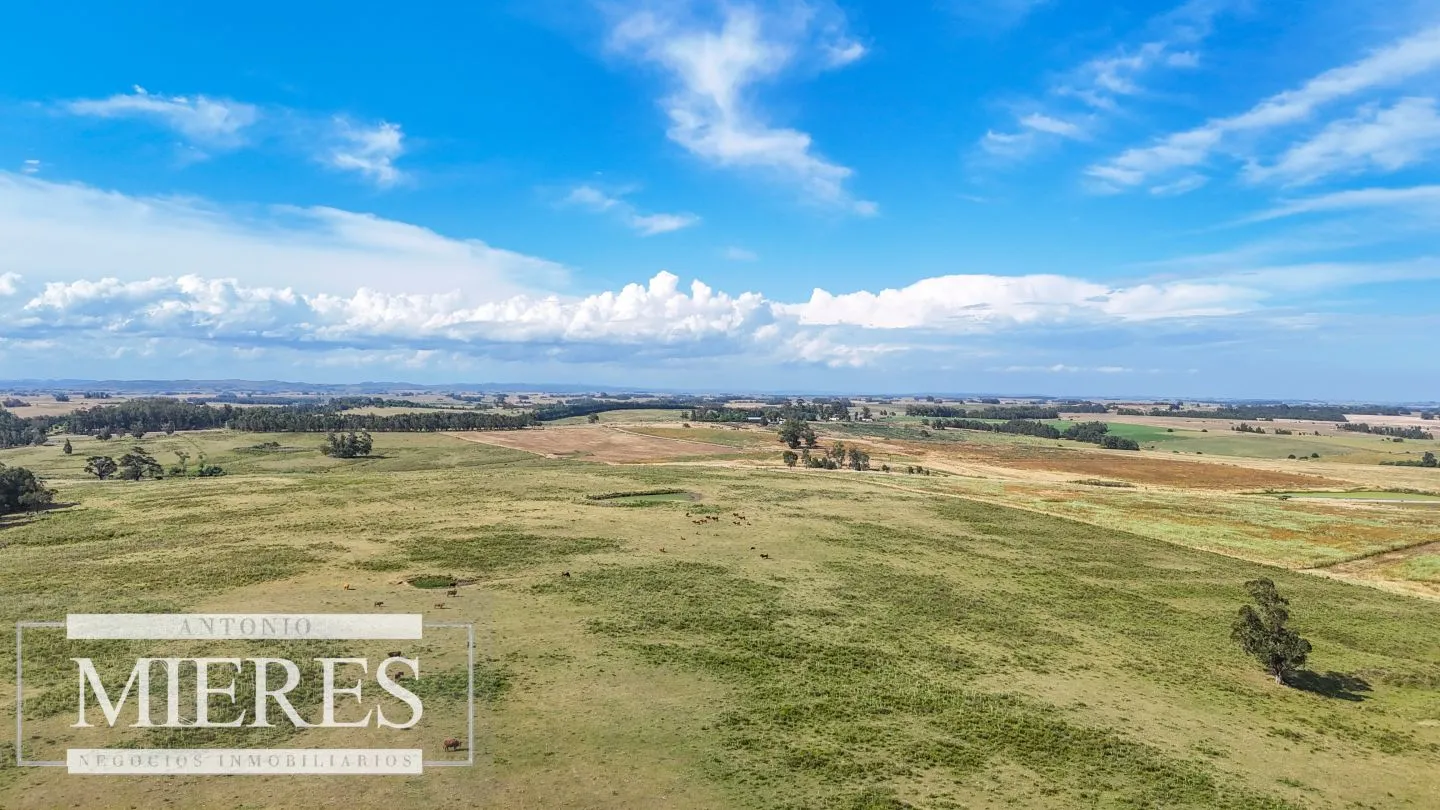 Campo en venta de 59 ha sobre ruta 9 a 15 min de José Ignacio — foto 22