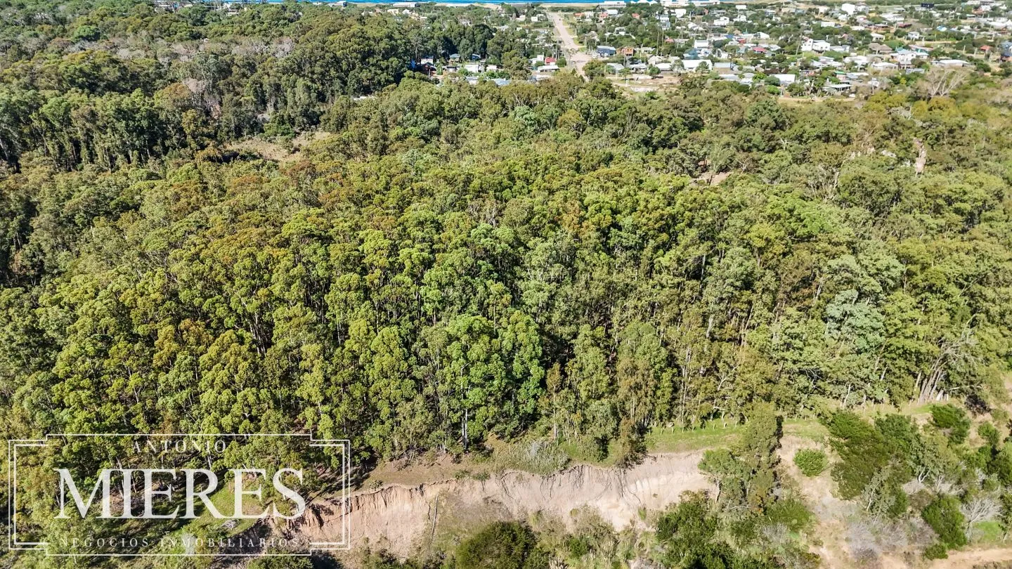 Venta lote 1161m2 en La Juanita c/ vista laguna y Medellin del faro — foto 14