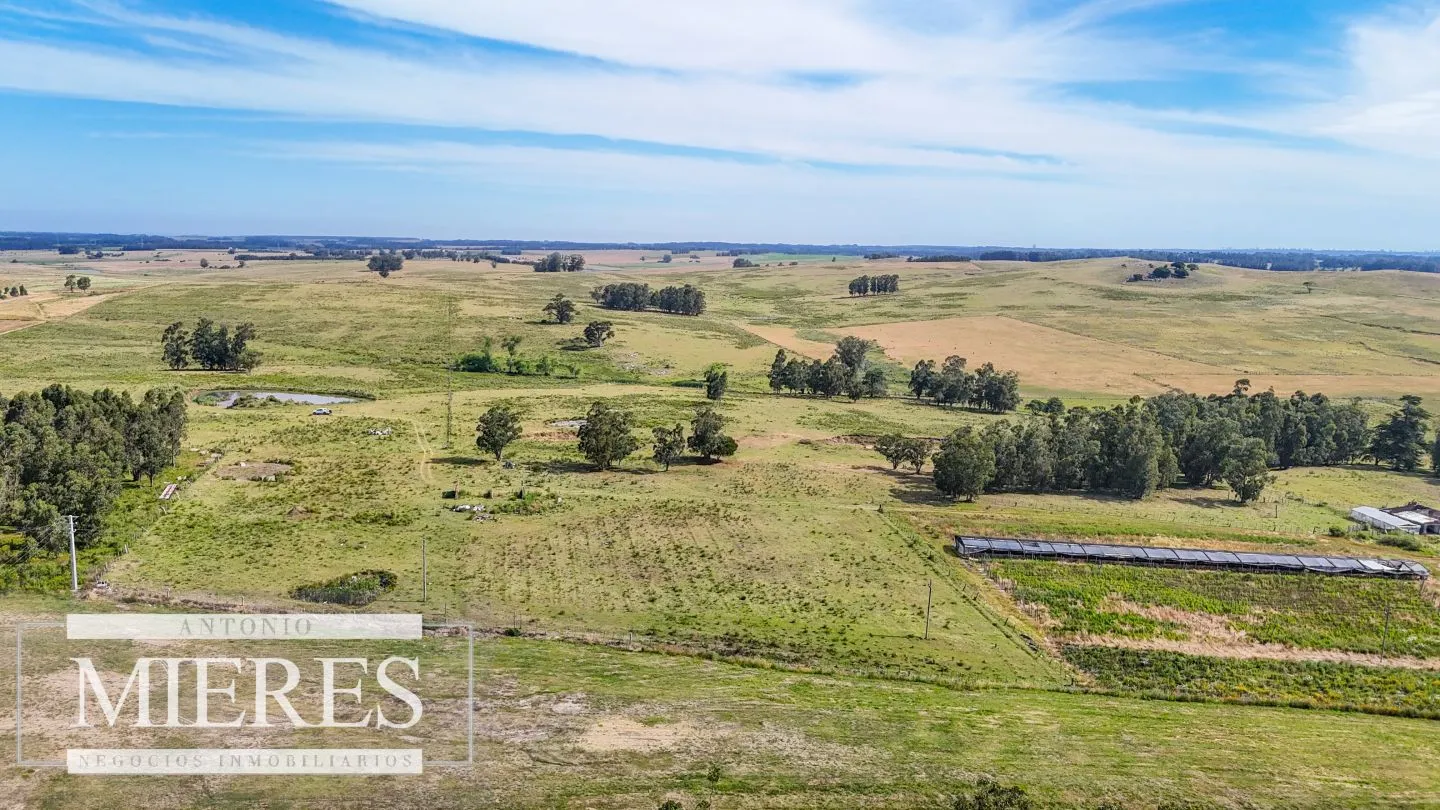 Campo en venta de 59 ha sobre ruta 9 a 15 min de José Ignacio — foto 23