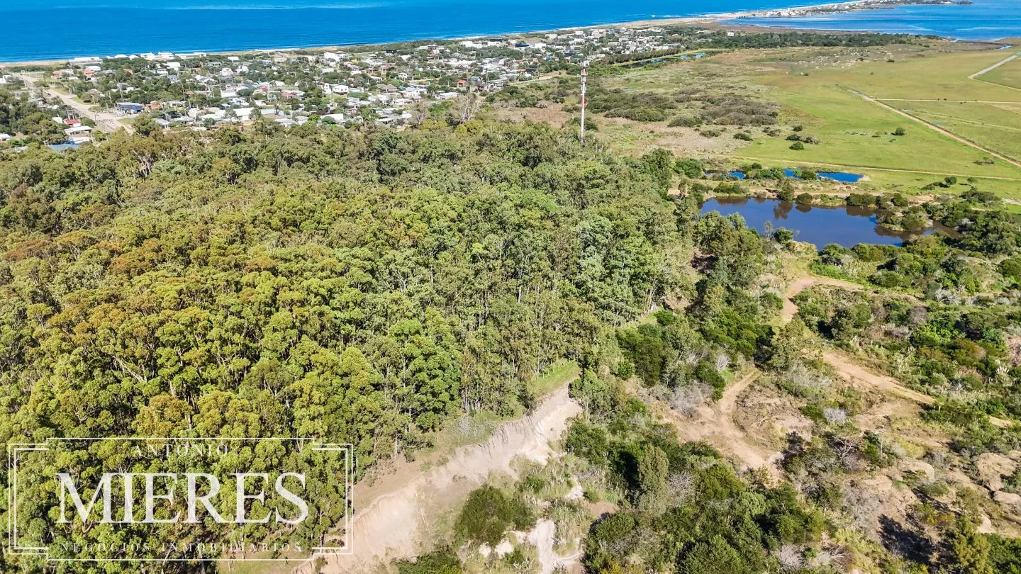 Venta lote 1161m2 en La Juanita c/ vista laguna y Medellin del faro — foto 15