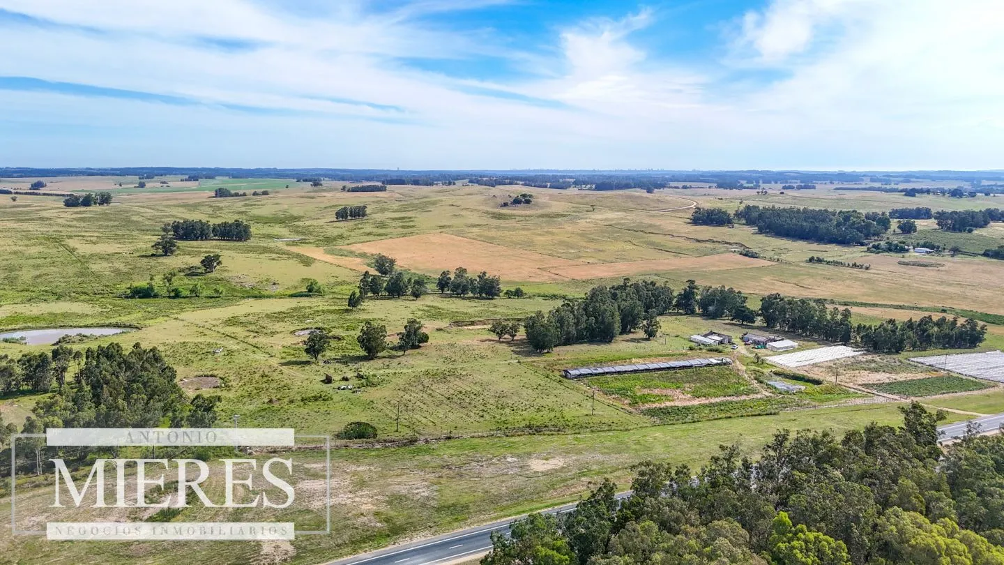Campo en venta de 59 ha sobre ruta 9 a 15 min de José Ignacio — foto 24