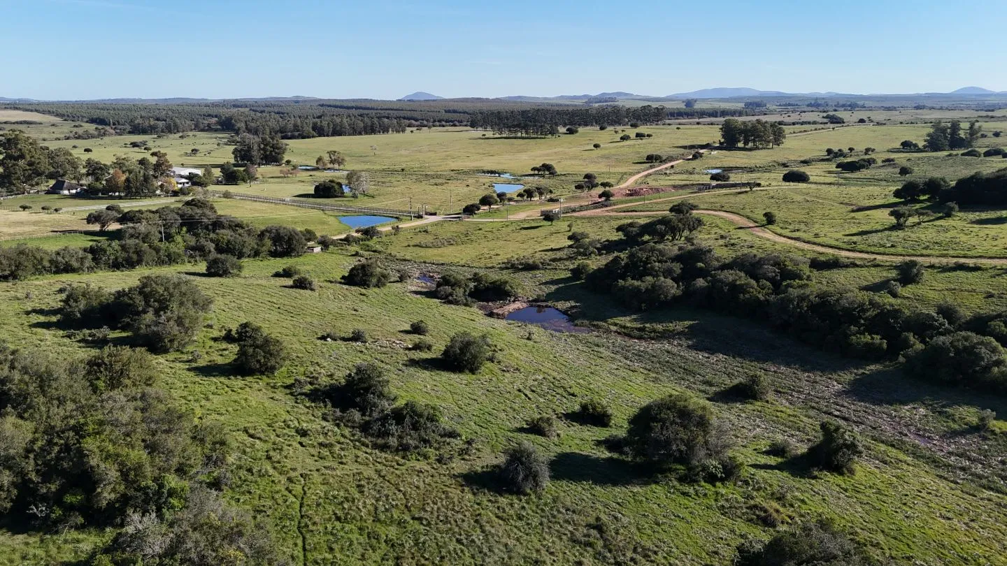 Chacra en venta de 3 ha en Pueblo Edén, Maldonado. — foto 1