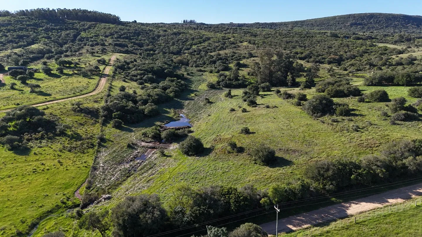 Chacra en venta de 3 ha en Pueblo Edén, Maldonado. — foto 2