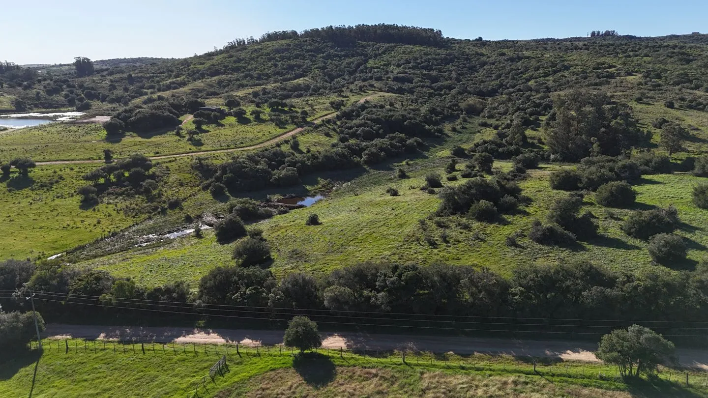 Chacra en venta de 3 ha en Pueblo Edén, Maldonado. — foto 3