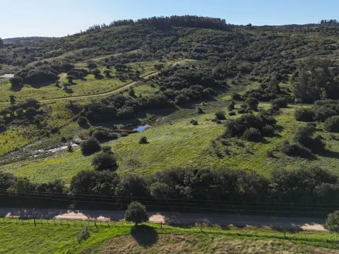 Chacra en venta de 3 ha en Pueblo Edén, Maldonado. — foto 3