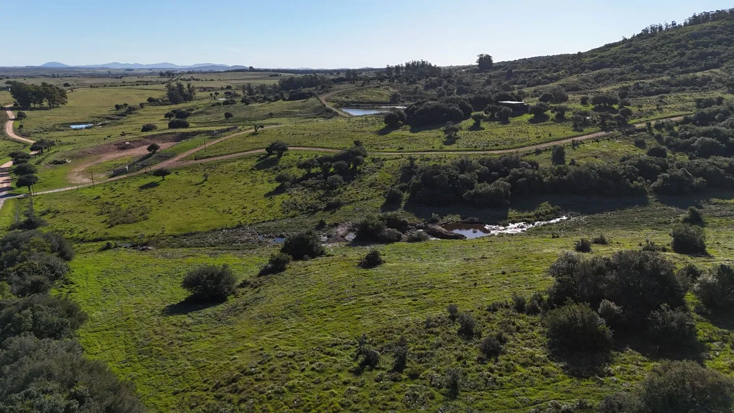 Chacra en venta de 3 ha en Pueblo Edén, Maldonado. — foto 4