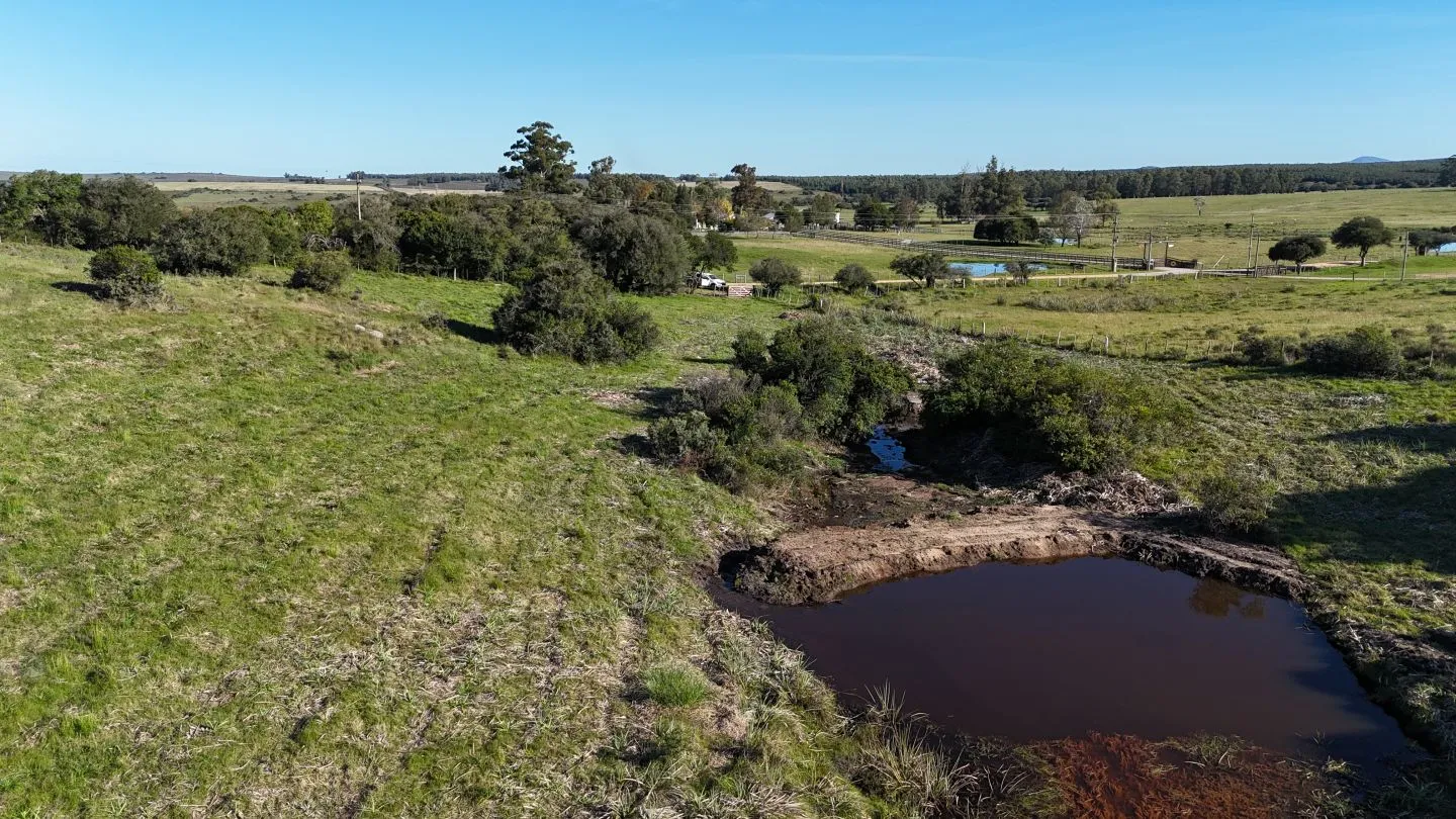 Chacra en venta de 3 ha en Pueblo Edén, Maldonado. — foto 5