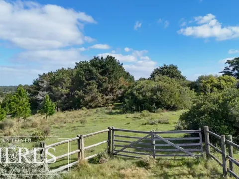 Venta de chacra arbolada en Las Portuguesas — foto 2