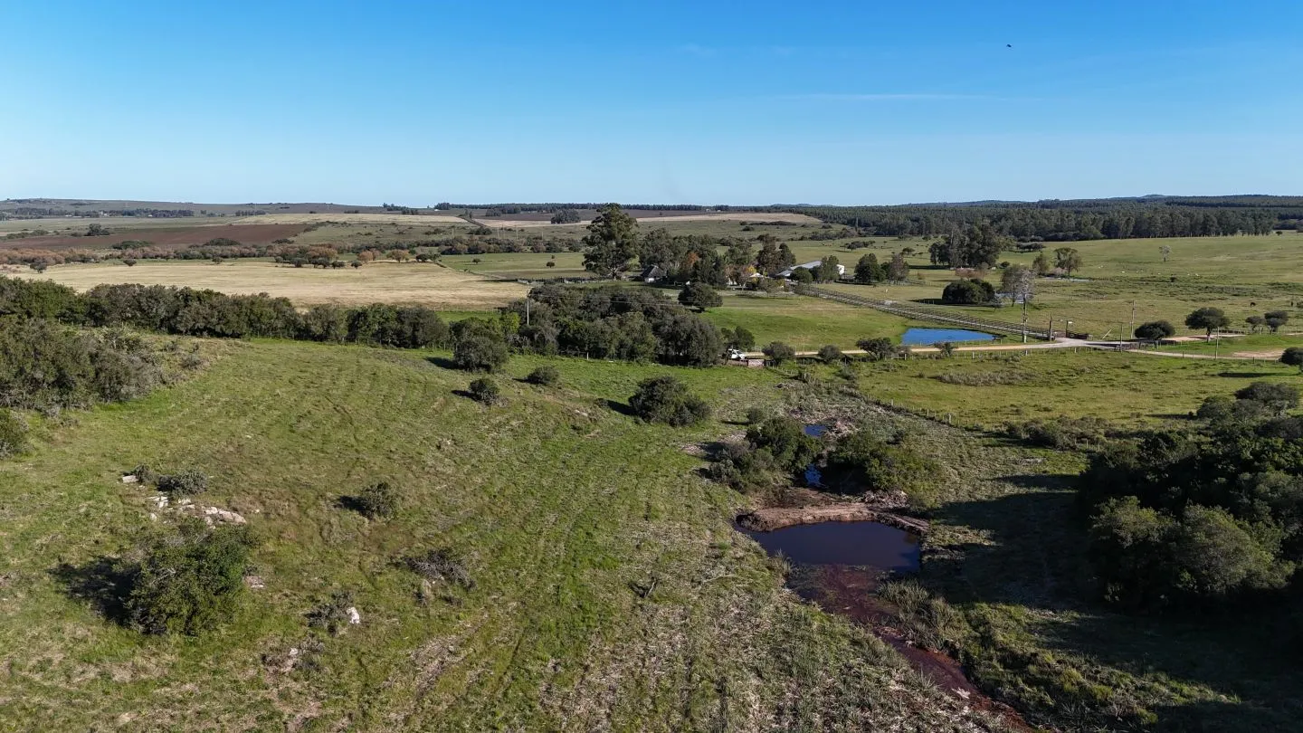 Chacra en venta de 3 ha en Pueblo Edén, Maldonado. — foto 6