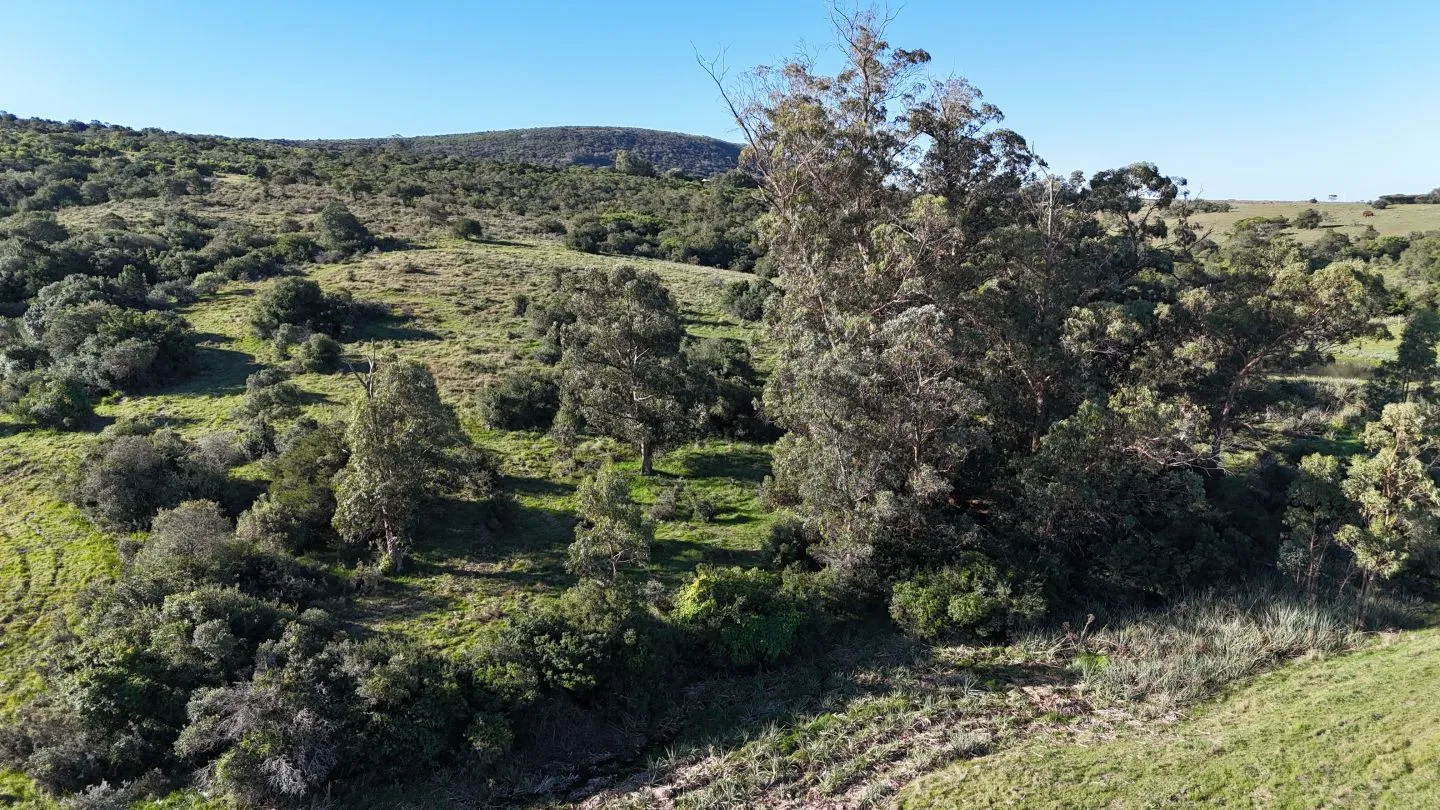 Chacra en venta de 3 ha en Pueblo Edén, Maldonado. — foto 7