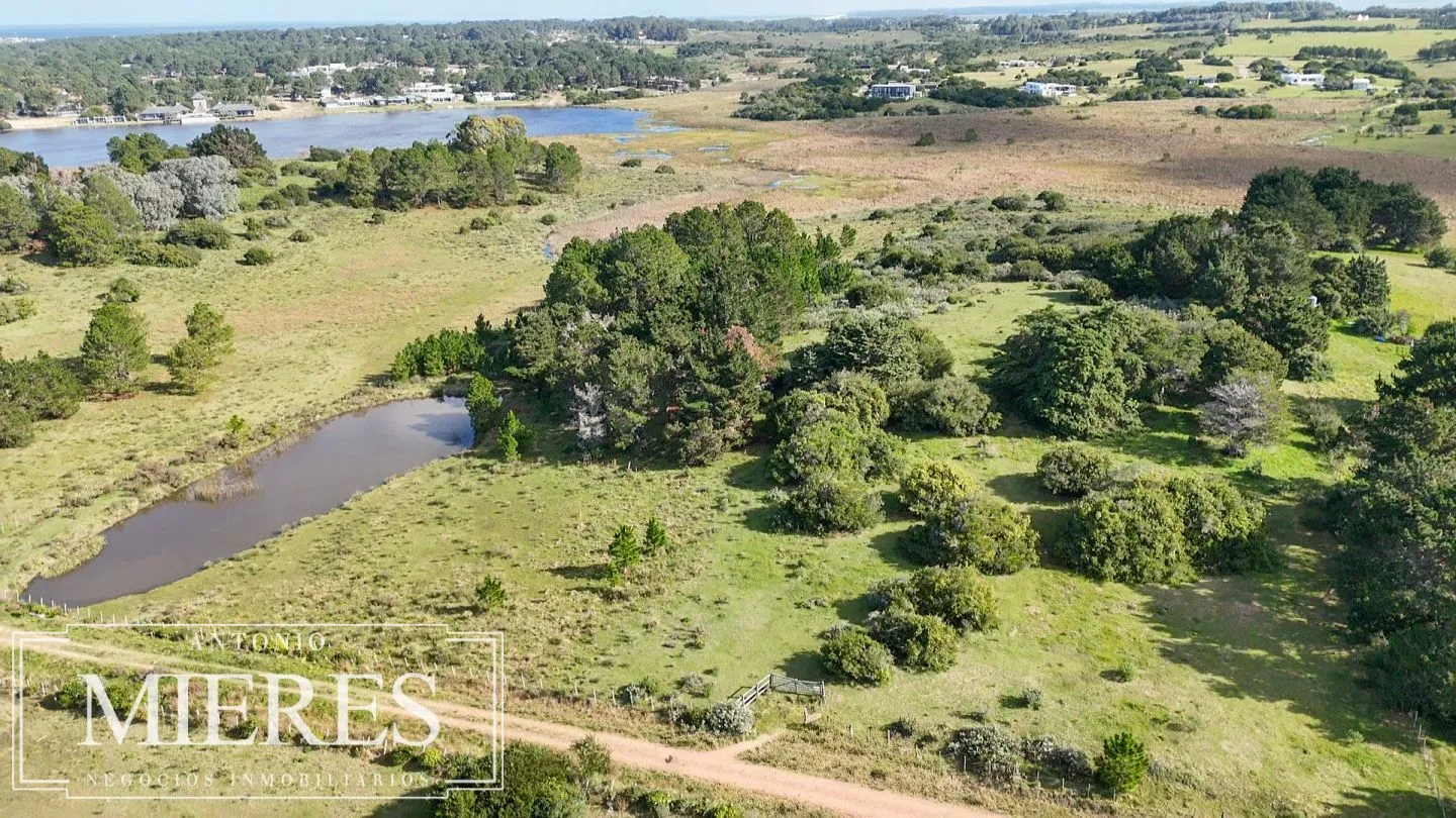 Venta de chacra arbolada en Las Portuguesas — foto 4