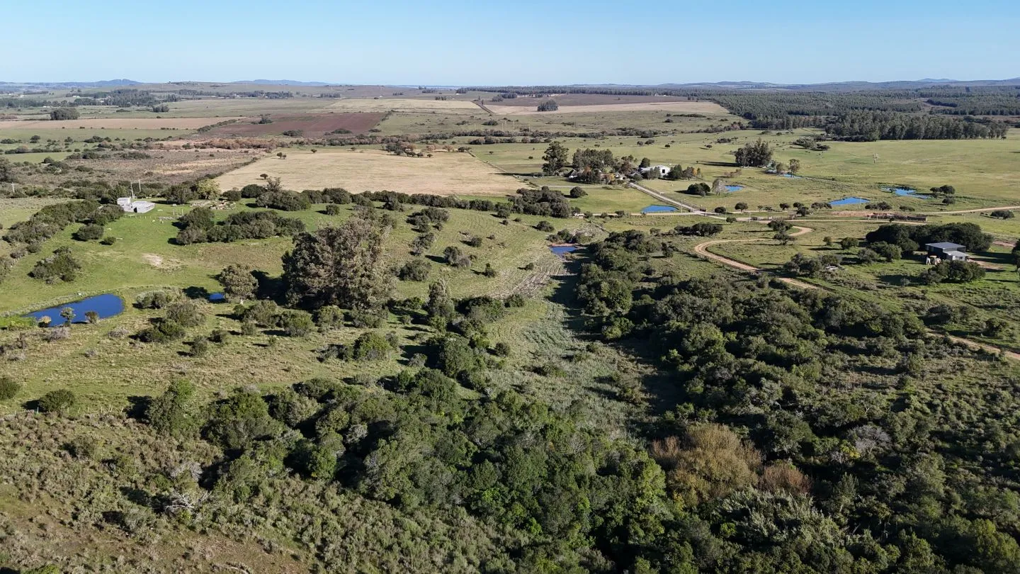 Chacra en venta de 3 ha en Pueblo Edén, Maldonado. — foto 8