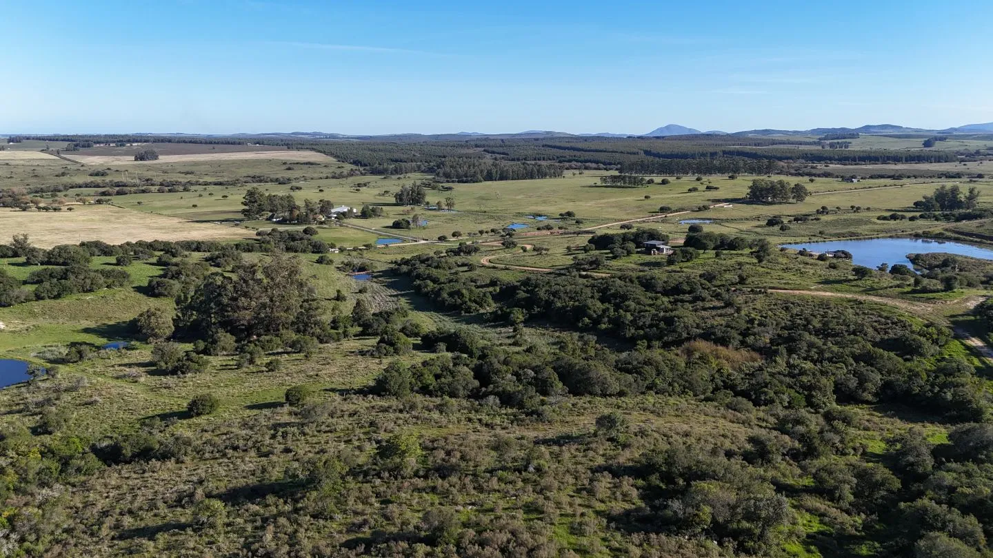 Chacra en venta de 3 ha en Pueblo Edén, Maldonado. — foto 9