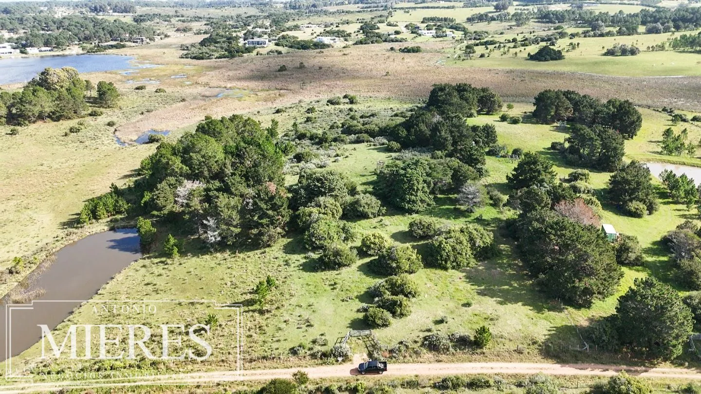 Venta de chacra arbolada en Las Portuguesas — foto 5