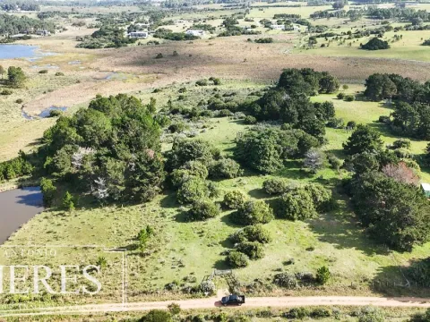 Venta de chacra arbolada en Las Portuguesas — foto 5