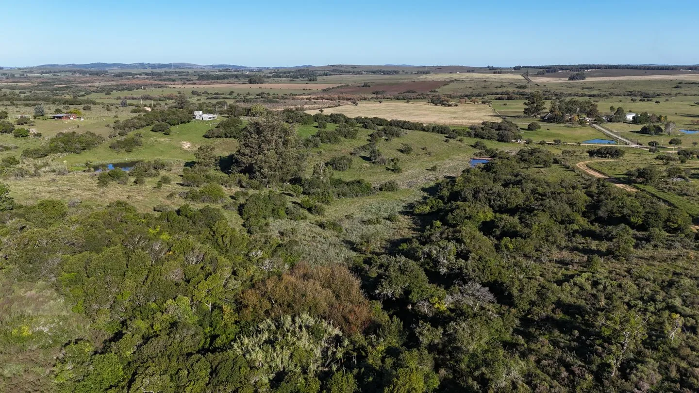 Chacra en venta de 3 ha en Pueblo Edén, Maldonado. — foto 10