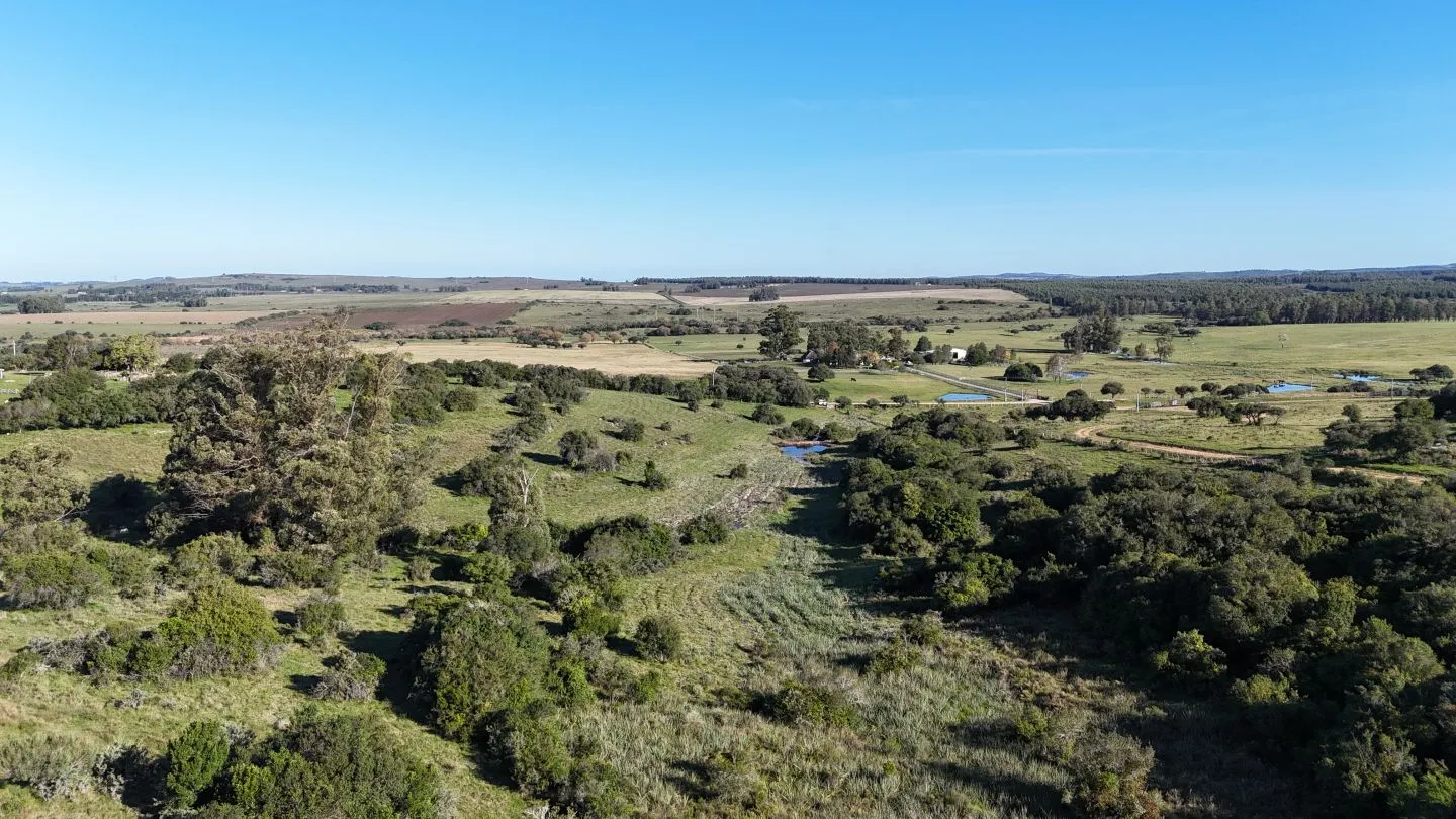 Chacra en venta de 3 ha en Pueblo Edén, Maldonado. — foto 12