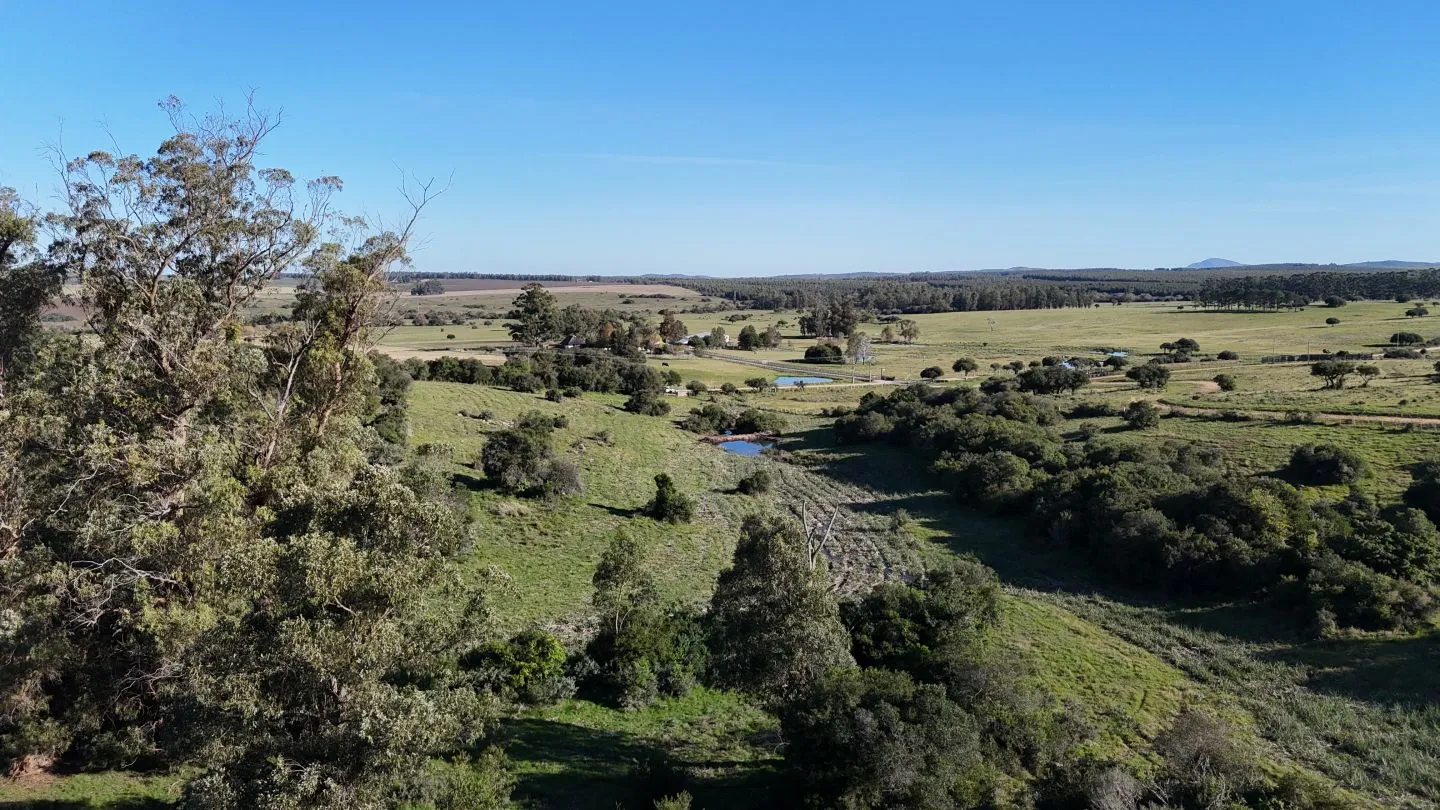 Chacra en venta de 3 ha en Pueblo Edén, Maldonado. — foto 13