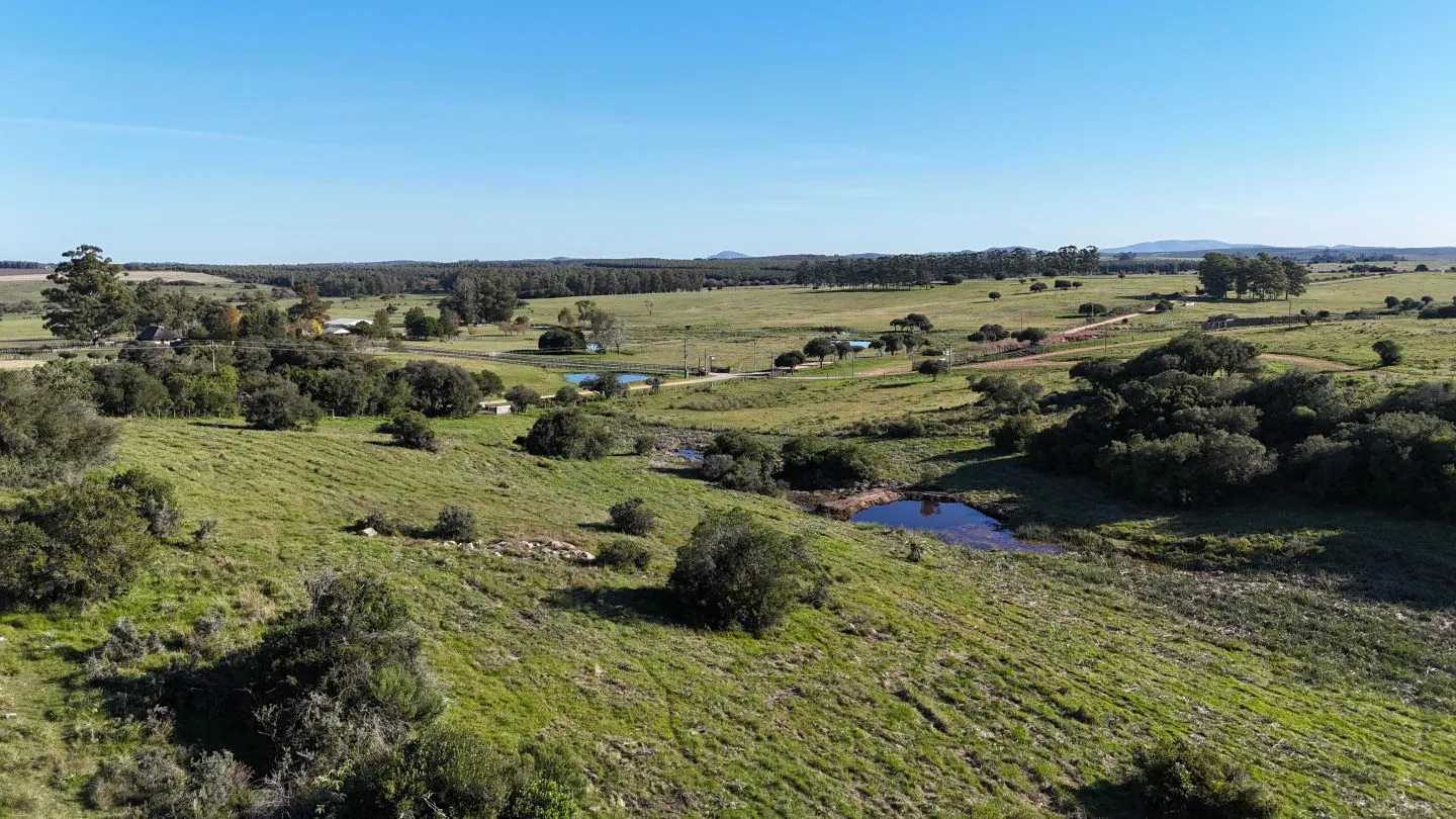 Chacra en venta de 3 ha en Pueblo Edén, Maldonado. — foto 14