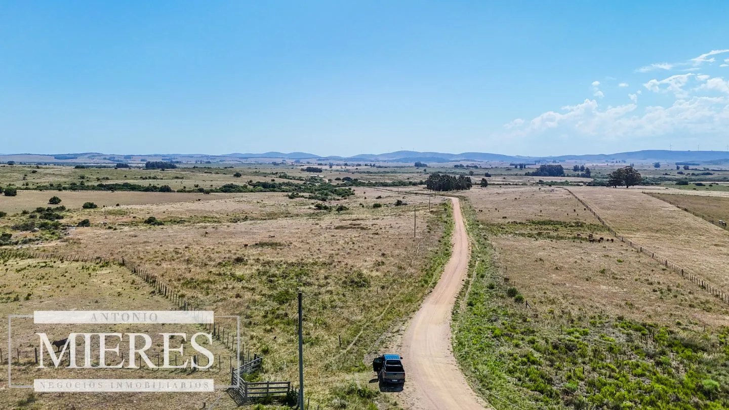 Campo en venta de 49 ha Maldonado, Uruguay. — foto 2
