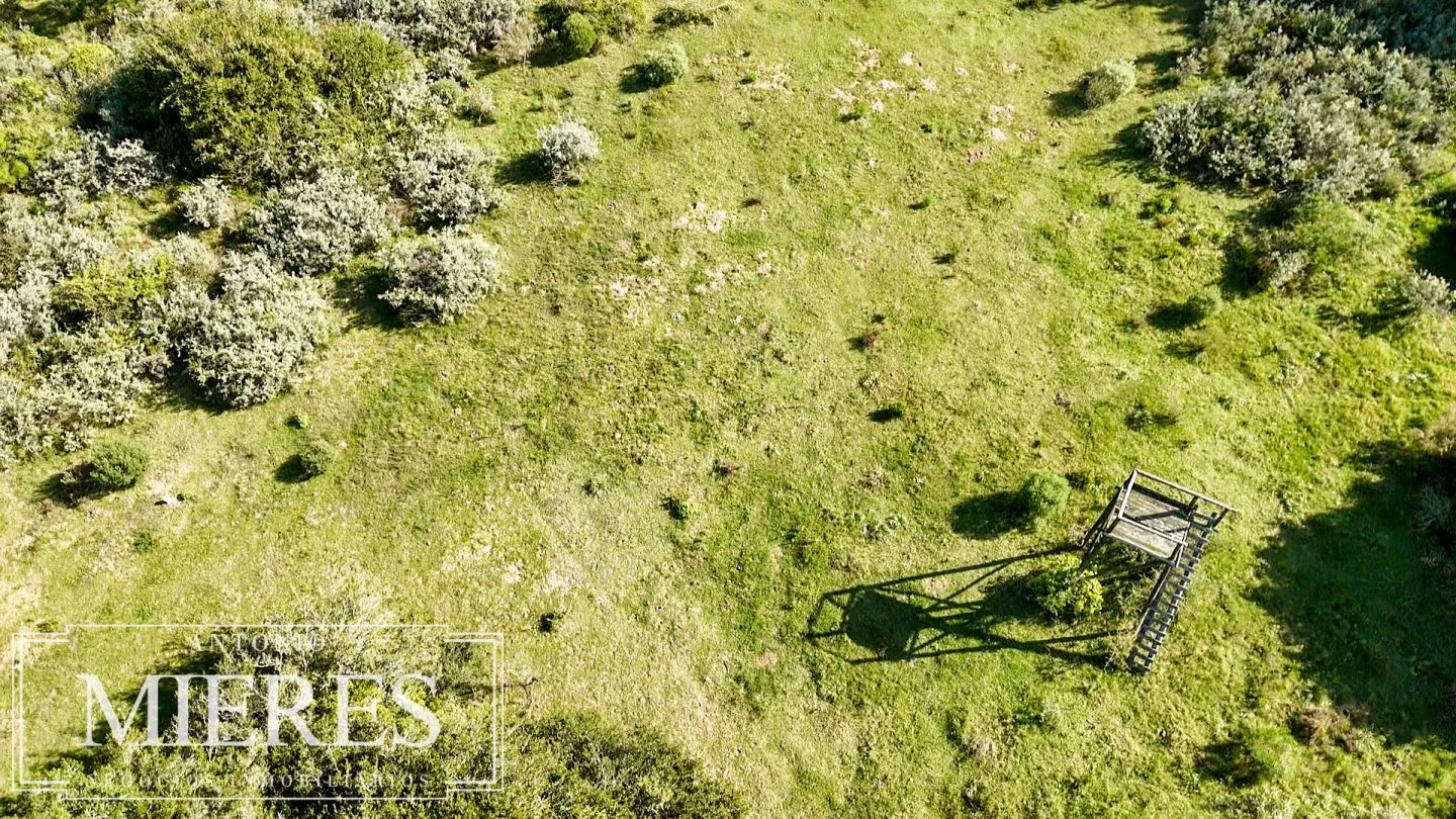 Venta de chacra arbolada en Las Portuguesas — foto 10