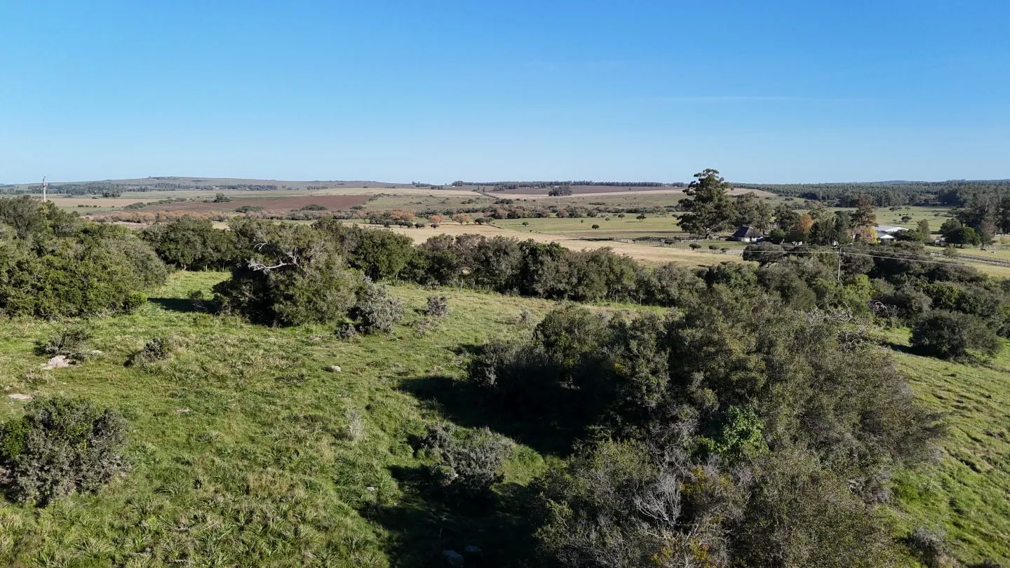Chacra en venta de 3 ha en Pueblo Edén, Maldonado. — foto 15