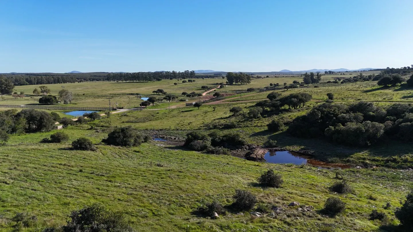 Chacra en venta de 3 ha en Pueblo Edén, Maldonado. — foto 16