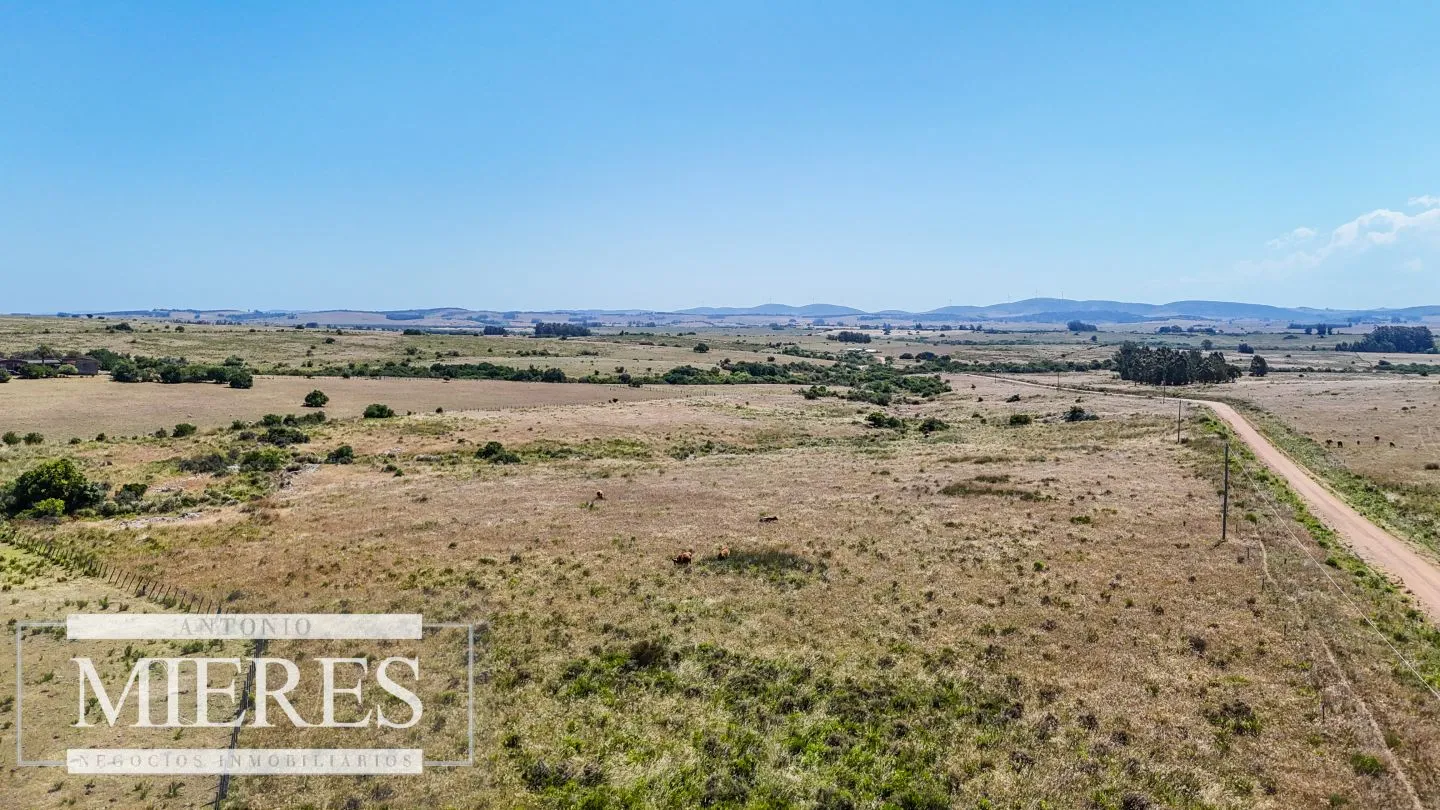 Campo en venta de 49 ha Maldonado, Uruguay. — foto 3