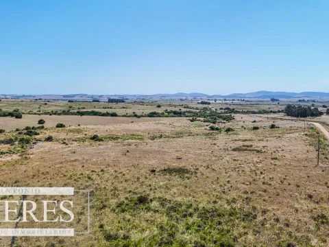 Campo en venta de 49 ha Maldonado, Uruguay. — foto 3