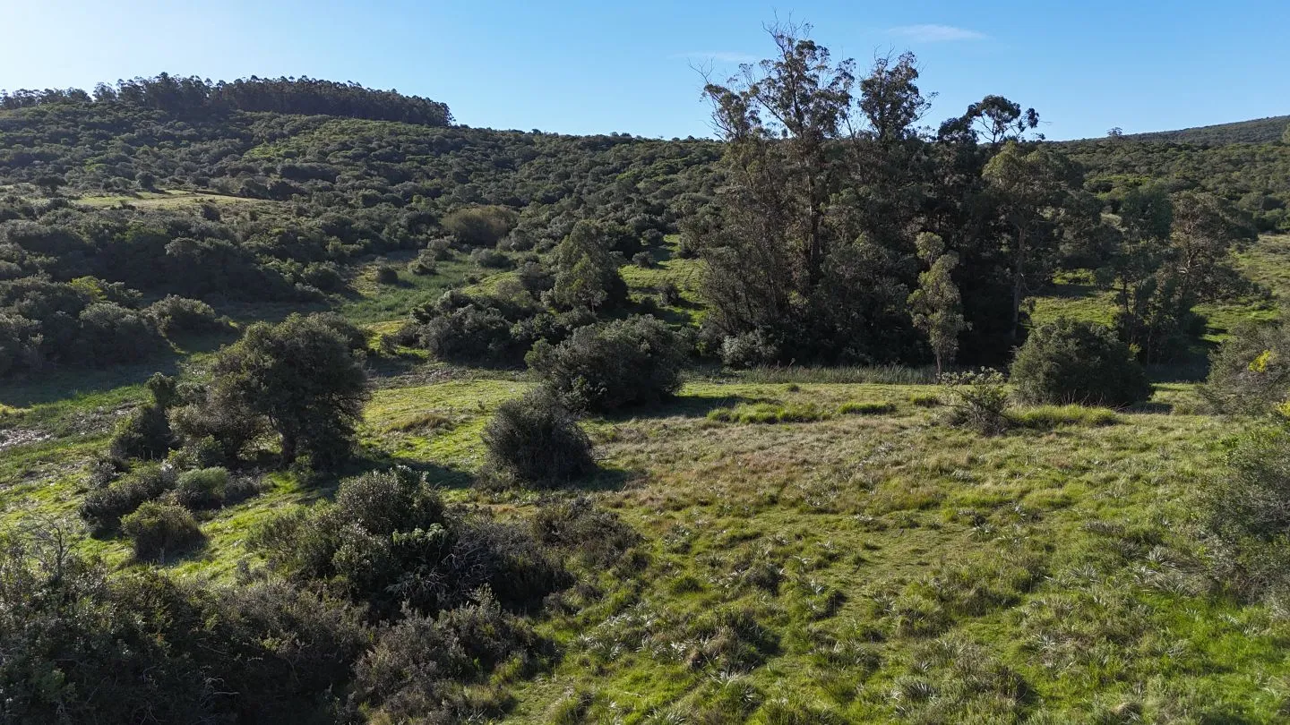 Chacra en venta de 3 ha en Pueblo Edén, Maldonado. — foto 17