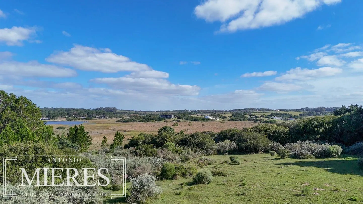 Venta de chacra arbolada en Las Portuguesas — foto 12