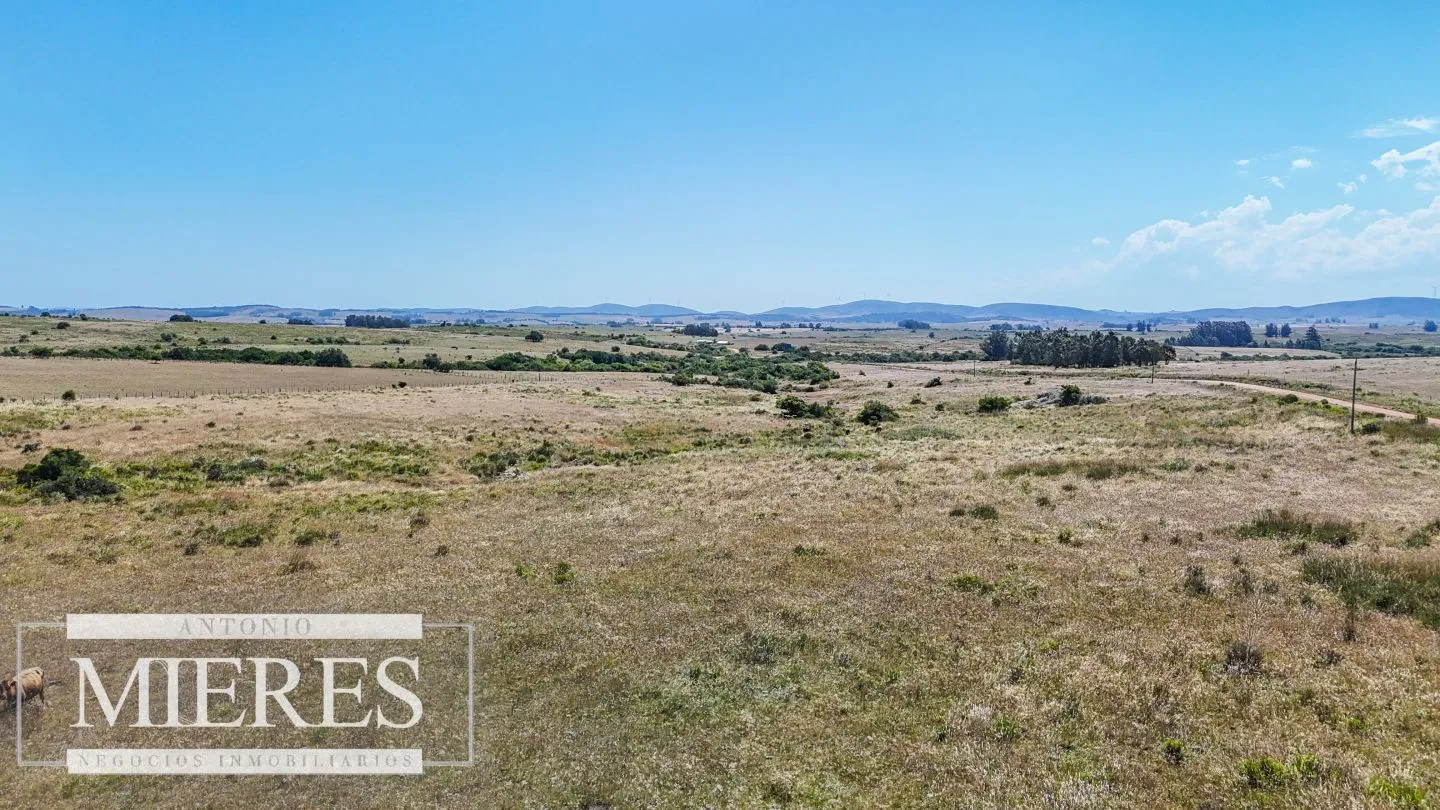 Campo en venta de 49 ha Maldonado, Uruguay. — foto 5