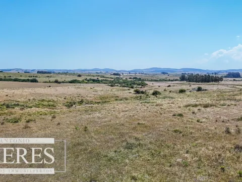 Campo en venta de 49 ha Maldonado, Uruguay. — foto 5