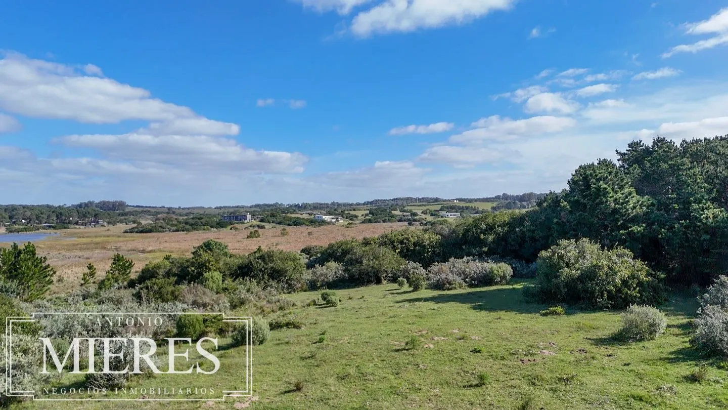 Venta de chacra arbolada en Las Portuguesas — foto 13