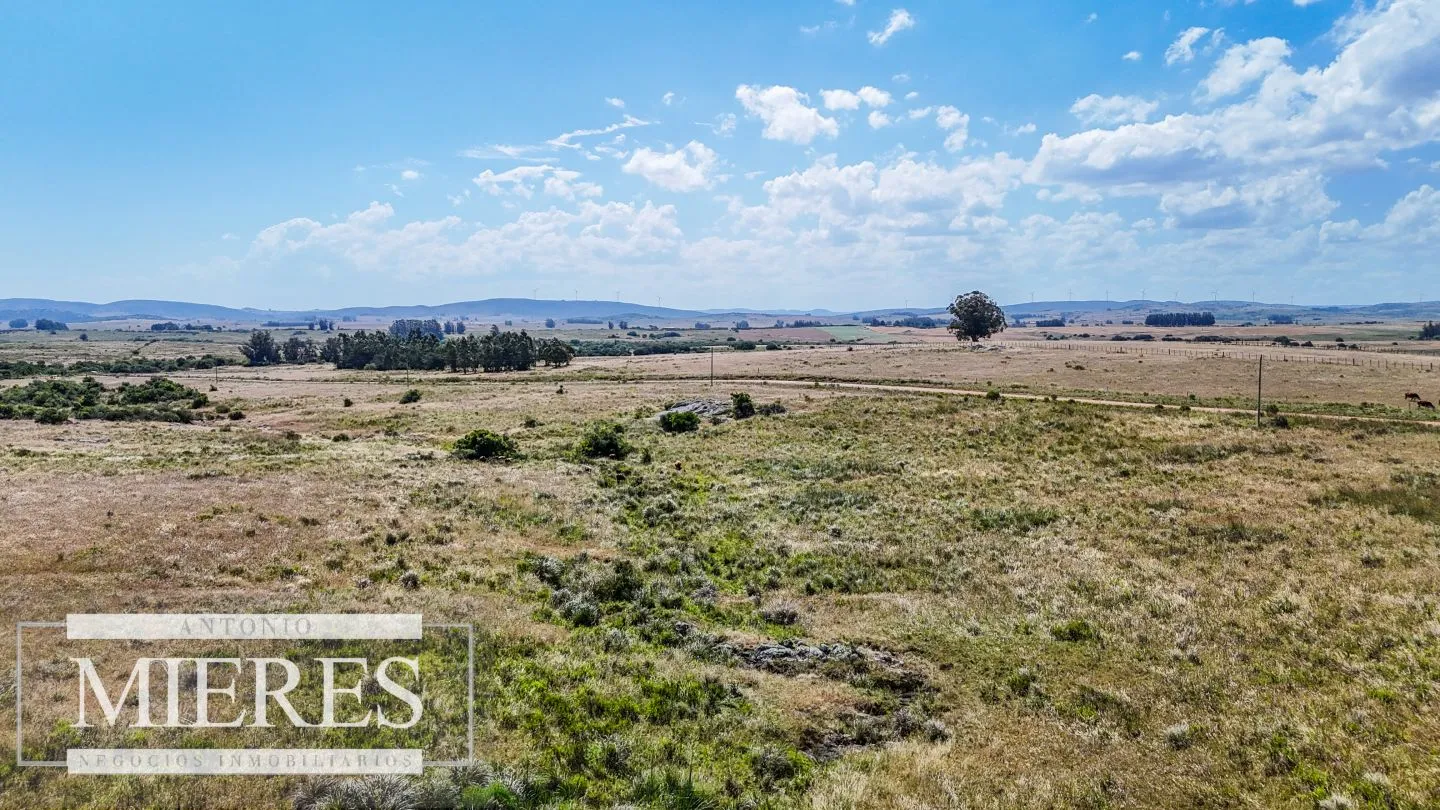 Campo en venta de 49 ha Maldonado, Uruguay. — foto 6