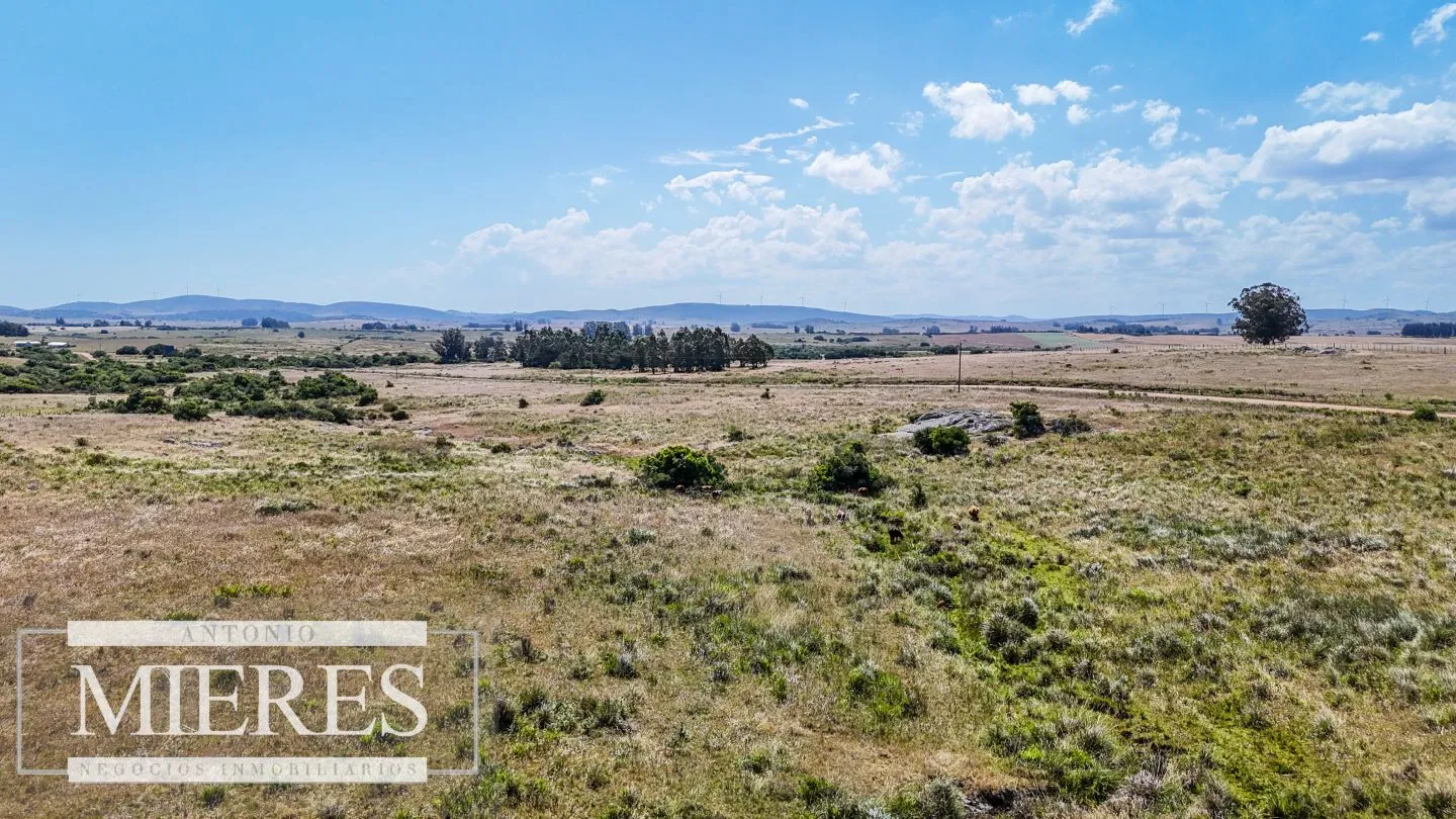 Campo en venta de 49 ha Maldonado, Uruguay. — foto 7