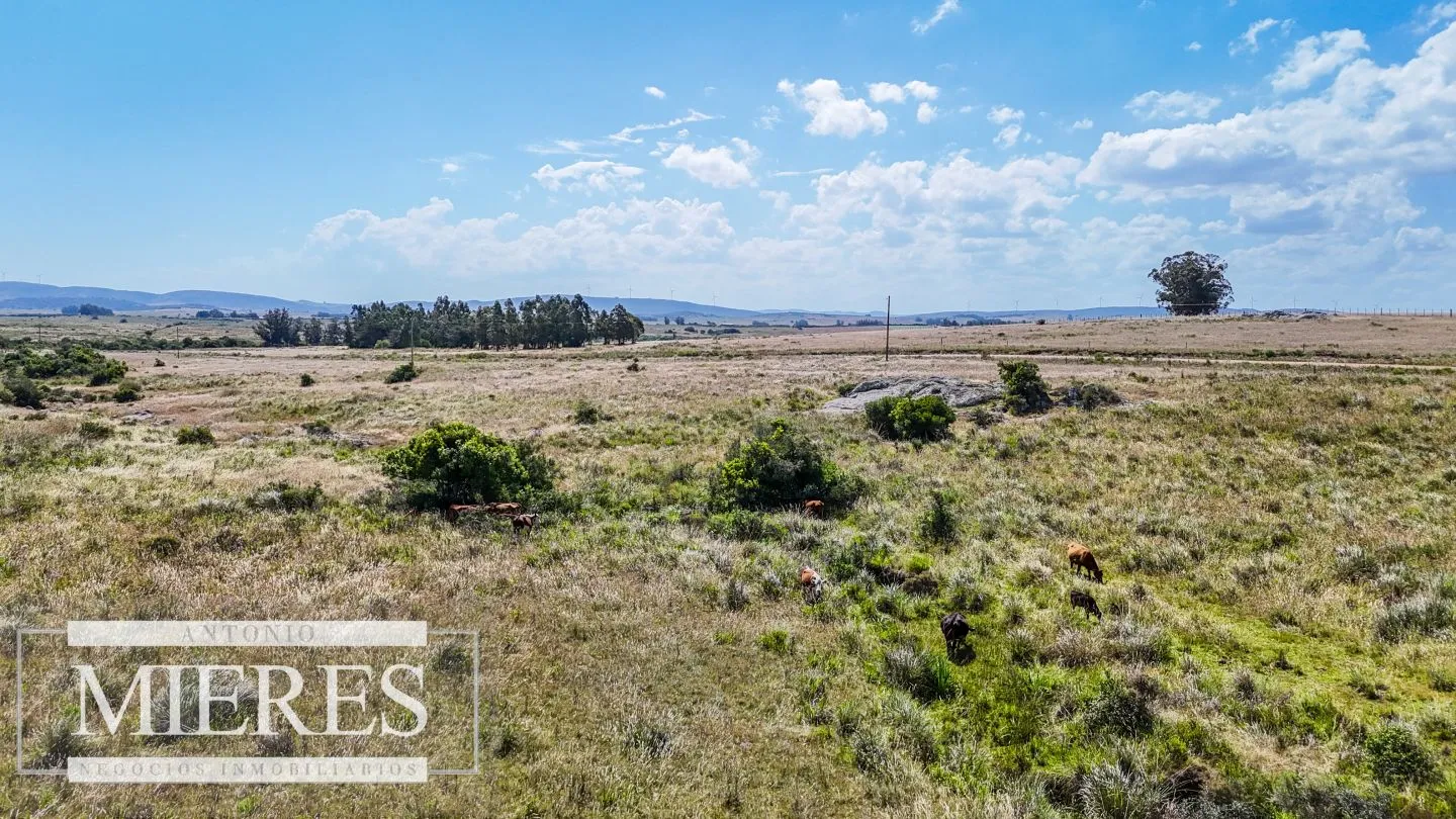 Campo en venta de 49 ha Maldonado, Uruguay. — foto 8