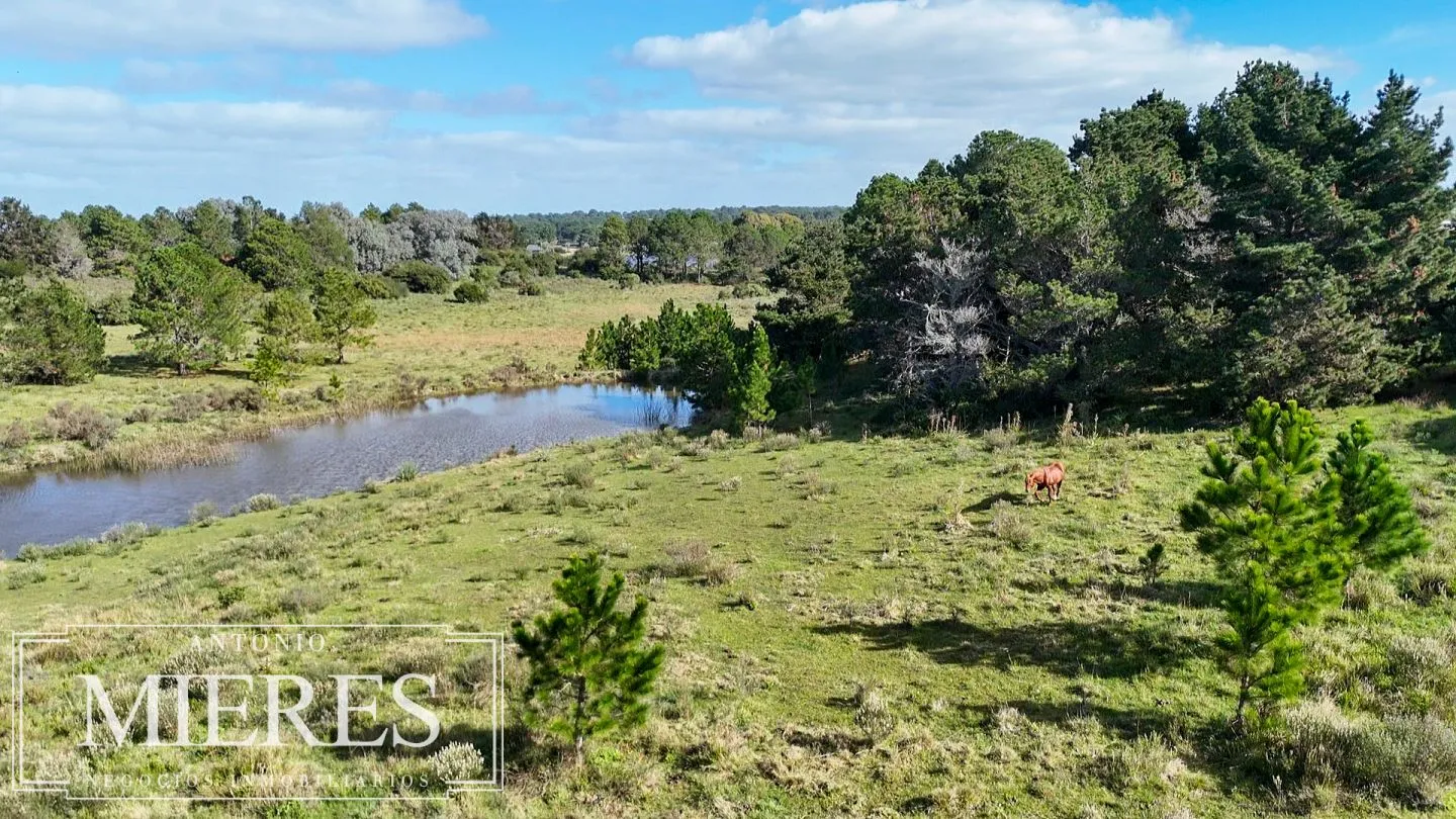 Venta de chacra arbolada en Las Portuguesas — foto 17