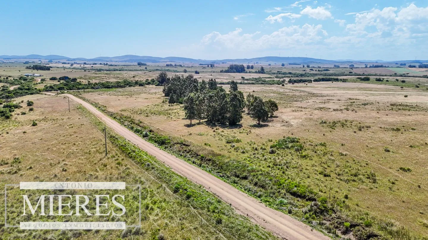 Campo en venta de 49 ha Maldonado, Uruguay. — foto 9