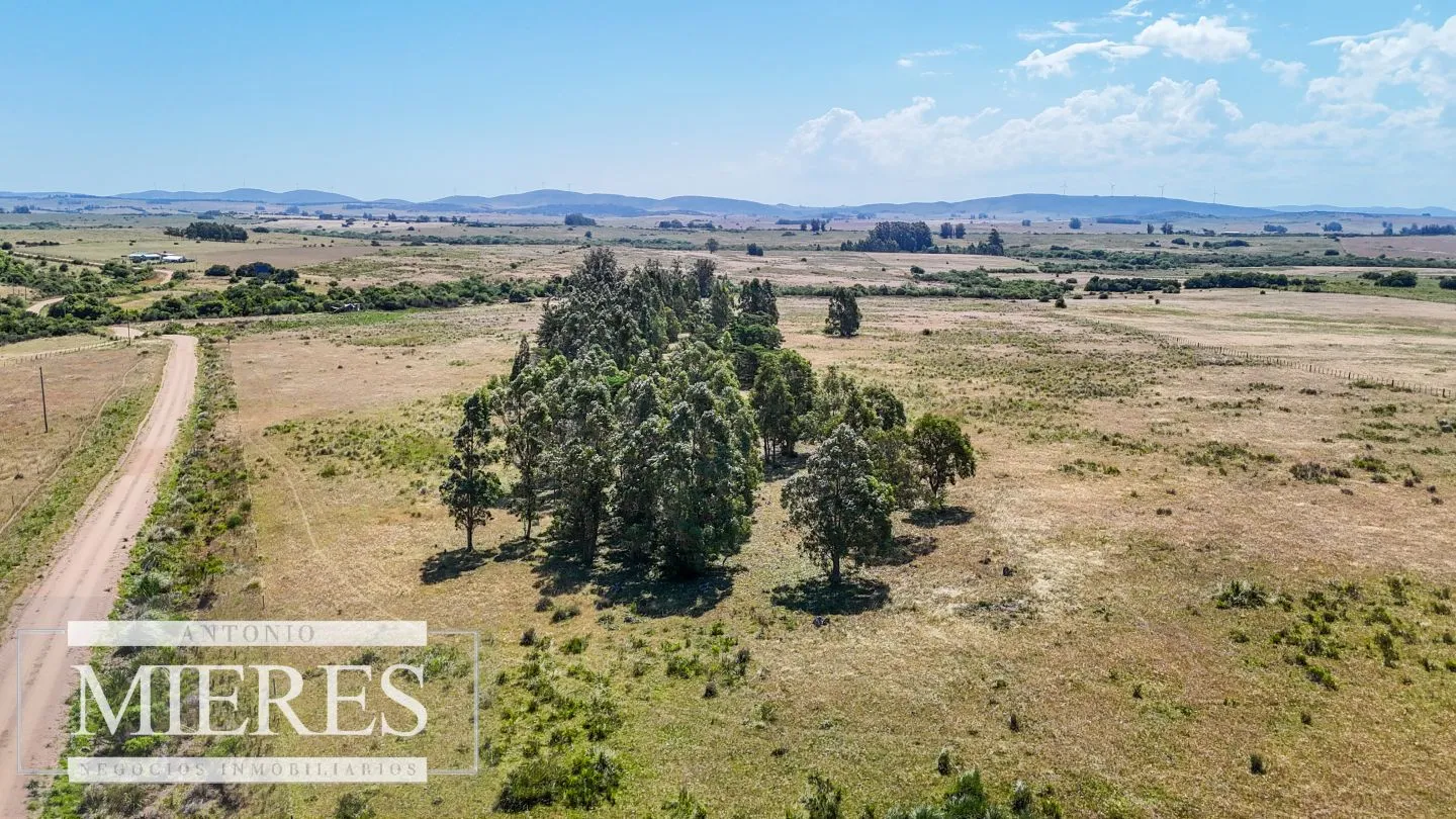 Campo en venta de 49 ha Maldonado, Uruguay. — foto 10